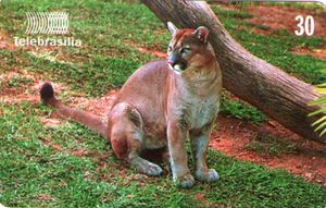 Colnect Item Picture