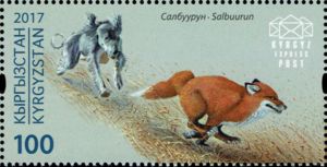 Taigan Dog Chasing a Fox