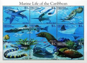 Marine Life of the Caribbean