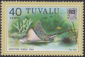 Spotted Eagle Ray (Aetobatus narinari) - Te Fai