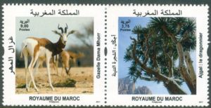 Flora and Fauna of Morocco