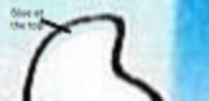 Constitutional Council