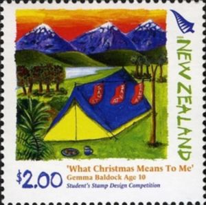 Camping At Christmas (Gemma Baldock)