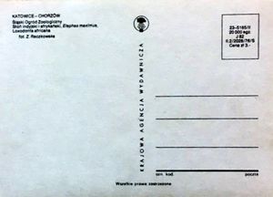 Chorzów ZOO - African Elephants