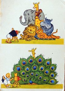 Big Five and the Photogtapher