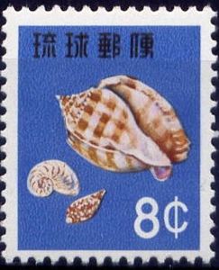 Banded Bonnet (Phalium bandatum), Chambered Nautilus