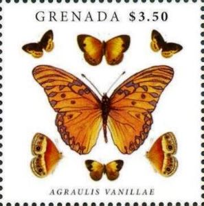 Gulf Fritillary (Agraulis vanillae)