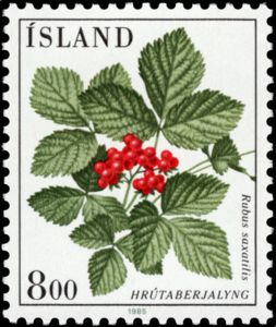 Rubus saxatilis