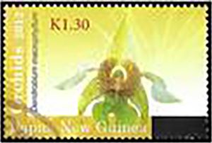 Dendrobium macrophyllum - surcharged