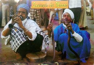 Snake Charmers