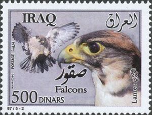 Lanner Falcon (Falco biarmicus)
