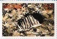 First Footprint on the Moon