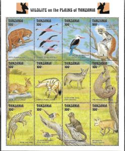 Wildlife on the Plains of Tanzania