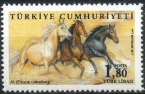 Horses (Equus caballus)