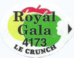 Royal-Gala-4173.jpg