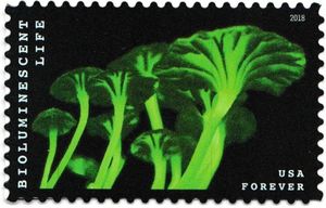 Bioluminescent Life: Mushroom