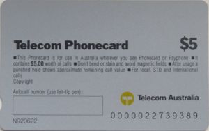 1992 Christmas - Wombats at the Beach