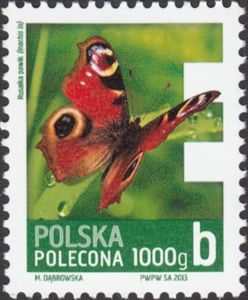 European Peacock (Inachis io)