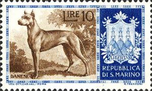 Great Dane (Canis lupus familiaris)