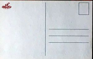 Elephant on the Beach