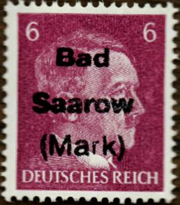 Print on Hitler Edition