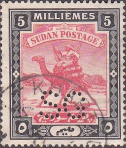 Postman with Dromedary (Camelus dromedarius)