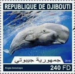Stamp Pygmy Sperm Whale (Kogia breviceps) (Djibouti(Whales (2018)) Mi