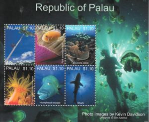 Marine life of Palau