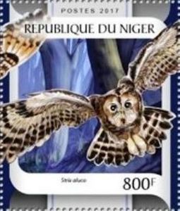 Brown owl (Strix aluco)