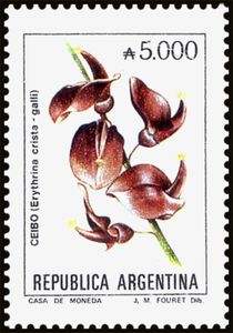 Ceibo (Erythrina crista-galli)