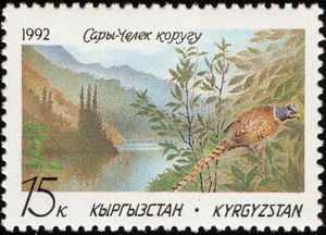 View of Lake Sary-Chelek and Common Pheasant