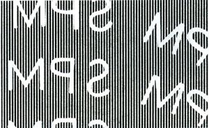 Agricultural Products- Oryza sativa