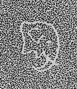 Queen Victoria (1819-1901) - overprinted