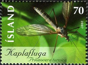 Stamp Cranefly (Prionocera turcica) (Iceland(Insects) MiIS 1180,SnIS