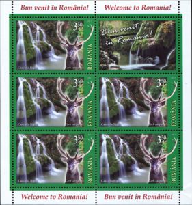 Red Deer (Cervus elaphus); Bigăr Waterfall, Bozovici