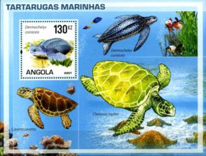 Sea Turtles