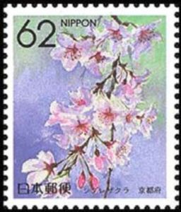 Stamp: Weeping Cherry Blossom (Kyoto) (Japan(Prefecture Flowers