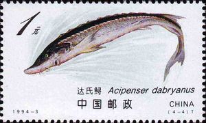 Stamp: Dabry's Sturgeon (Acipenser dabryanus) (China, People's Republic ...