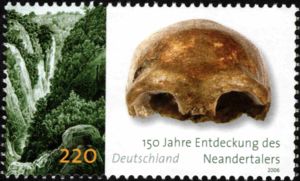 150 years discovery Neanderthals