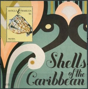 Shells of the Caribbean (1)