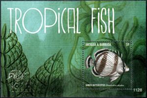 Tropical Fish (2)