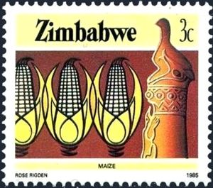 Maize