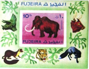 Mammoth (Mammuthus sp.)