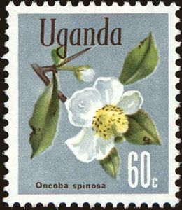 Stamp: Snuff-box tree (Oncoba spinosa) (Uganda(Native Flora) Sg:UG 138a