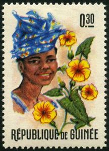 Thunbergia alata and Woman
