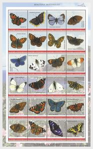 Beautiful Butterflies of Sint Maarten