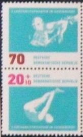 Waterpolo and Diving