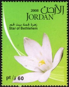 Star of Bethlehem