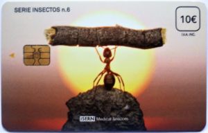 Insectos n.6 - Hormiga