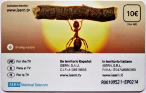 Insectos n.6 - Hormiga